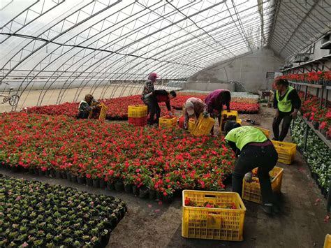 扬州花卉苗圃价值评估