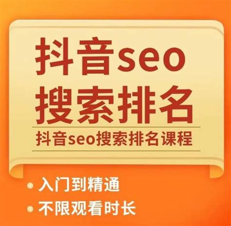 抖音seo关键词排名技术公司