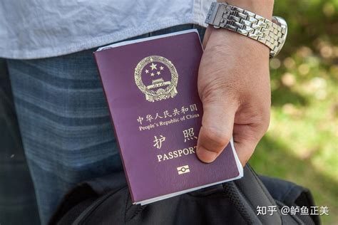 护照照片可以换新的吗