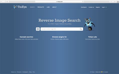 搜索优化设计图片的网站有哪些
