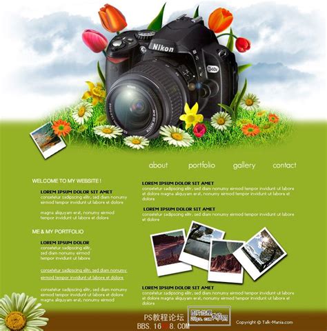 摄影自学网站设计教程