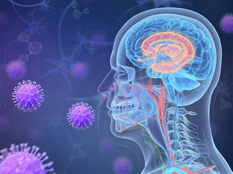 新冠病毒可能在大脑内