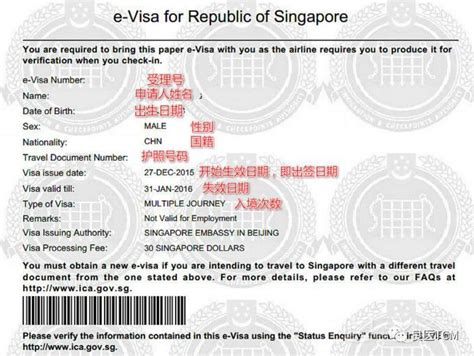 新加坡儿童签证多少钱