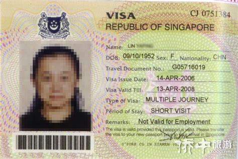 新加坡半年签证多少钱