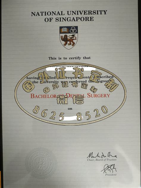 新加坡国立大学学位证书