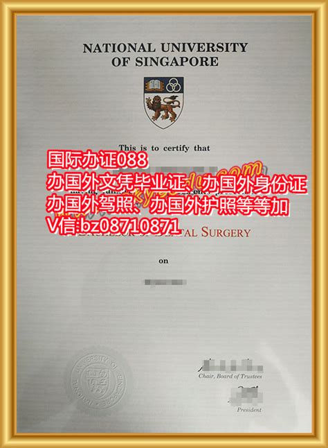 新加坡硕士毕业证