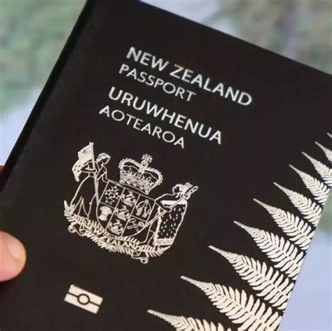 新西兰可以办理工签吗