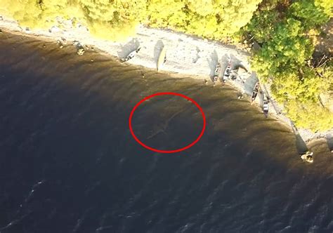 无人机拍到尼斯湖水怪