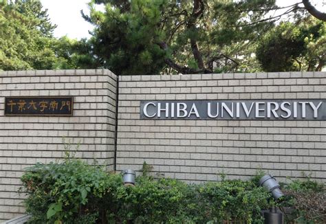 日本千叶大学在日本排名多少