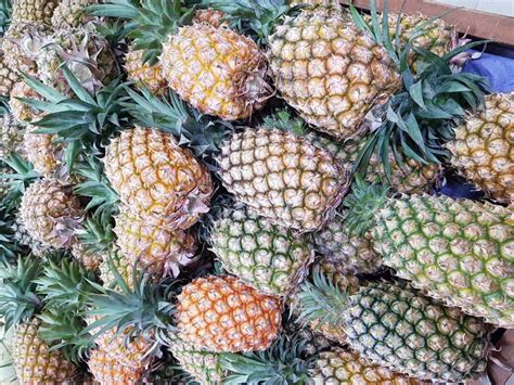 日本采购台湾菠萝