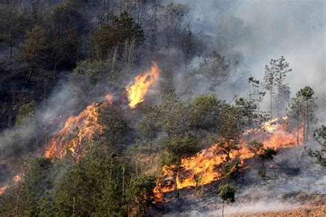 昆明发生森林火灾是哪年的事情
