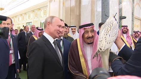 普京访问沙特签了多项协议