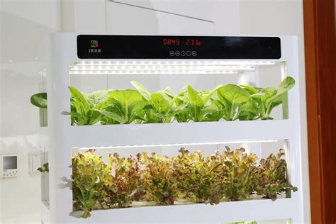 智能蔬菜种植机小型设备