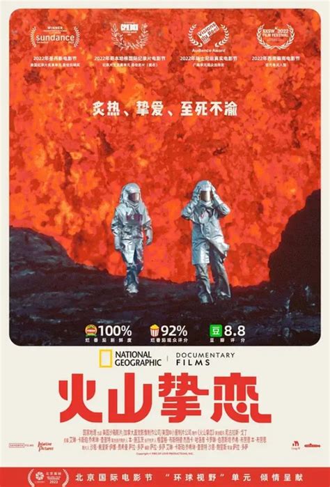 最新火山电影完整版