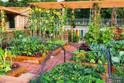最美庭院菜园图片