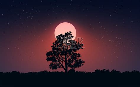 月光下的树影怎么形容