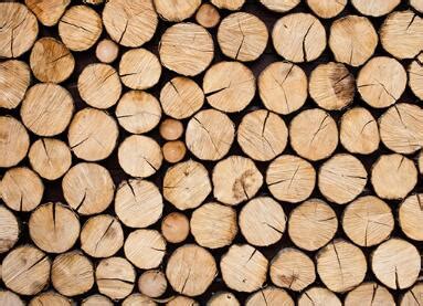 木材公司起名免费