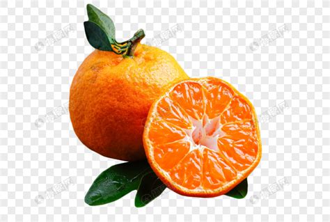 木质柑橘素材