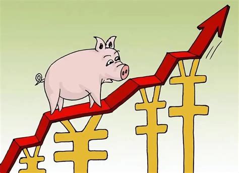 未来5年猪价涨停
