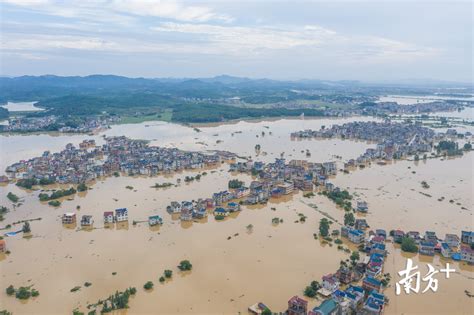 杨河镇2016洪水