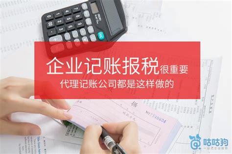 杭州独资企业记账报税