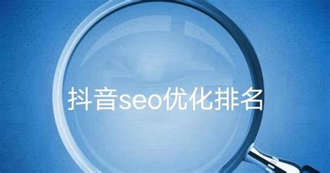 杭州seo软件价格排名