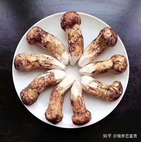 松茸生长在中国的哪里