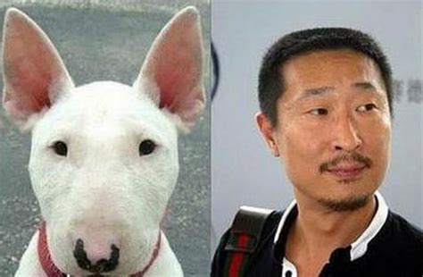 林永健和狗相似的图片