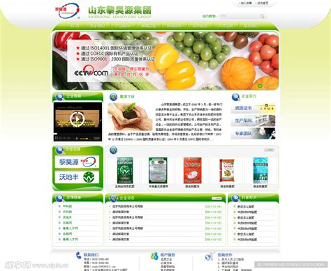 枣庄网页设计定制公司