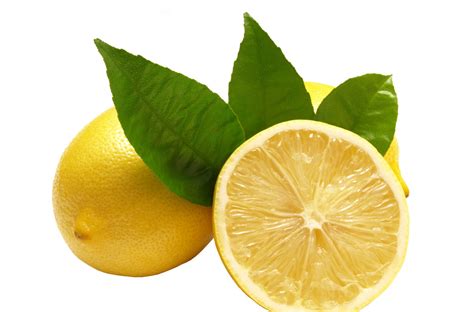 柠檬可以取怎样的名字