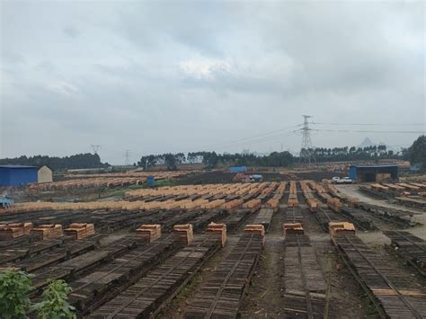 柳州木材厂