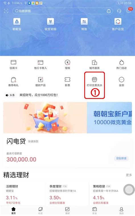 柳州银行app导出流水账单