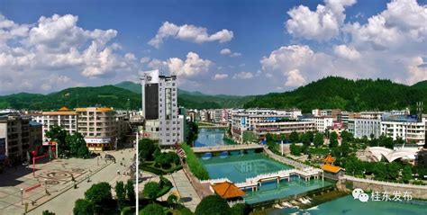 桂东县政府网站