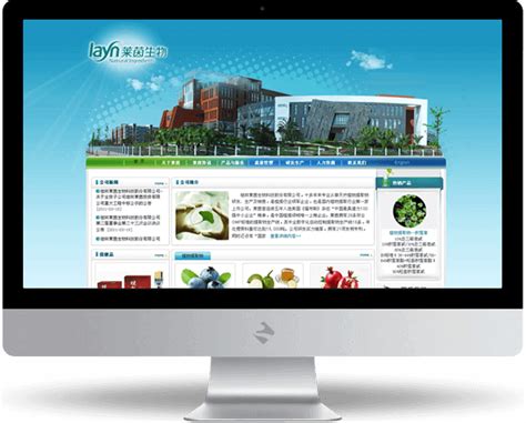 桂林智能网站制作推广运营