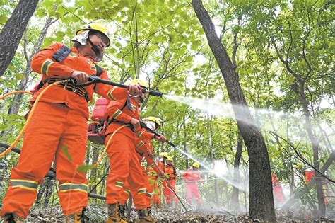 森林消防灭火最新装备视频