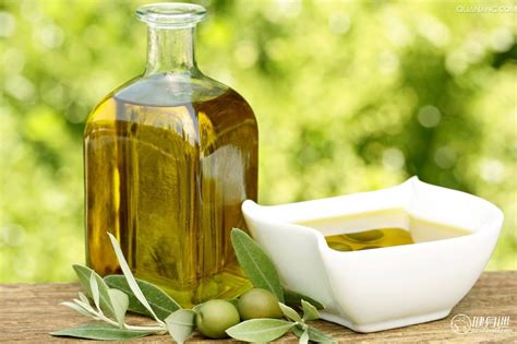 橄榄油减脂用量