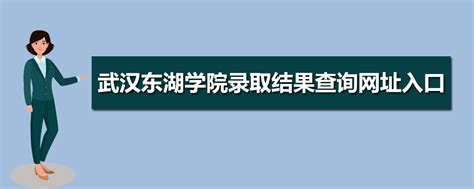 武汉东湖学院教务系统入口