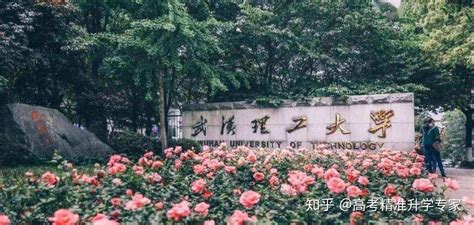 武汉理工大学中外合作的文凭