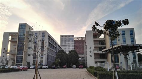 武汉理工大学大一新生在哪个校区