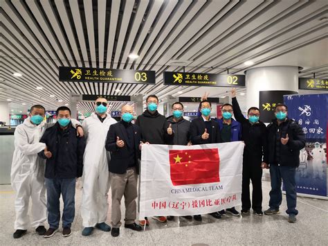 武汉疫情海外科研人员回国