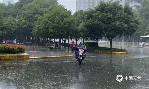 武汉雨景图片