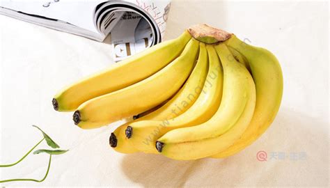 每天吃好几个熟香蕉没事吧