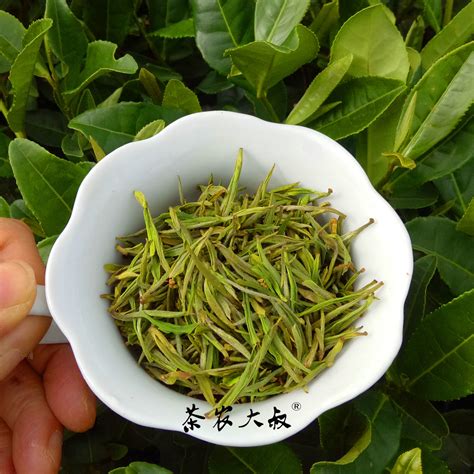 毛峰茶叶多少钱一斤