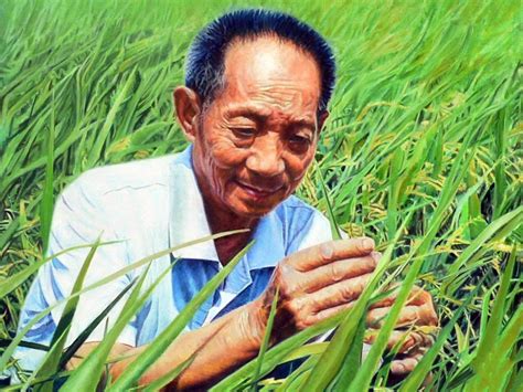 水稻杂交是日本人发明的吗