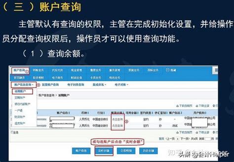 沧州市企业网银操作流程