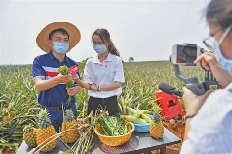 河北农产品网络推广营销