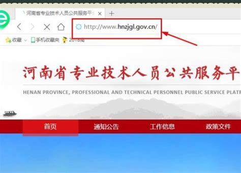 河南省专业技术公共平台登录入口