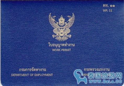 泰国电子工作证怎么下载