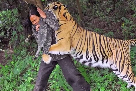 泰国美女户外探险被老虎吃掉