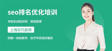 津南区seo网络优化培训中心